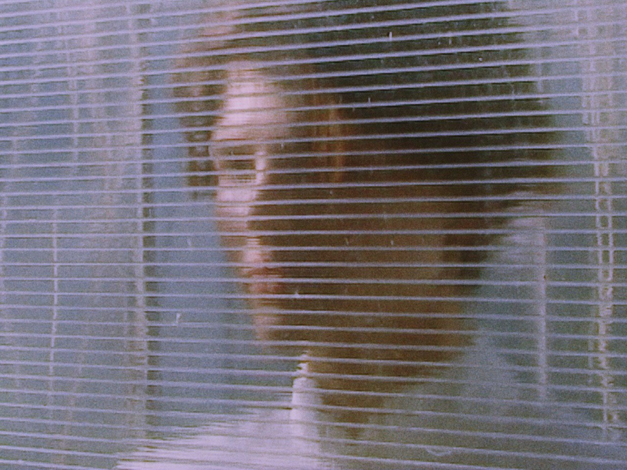 Dacha — still 7, Alexander Ponomarev