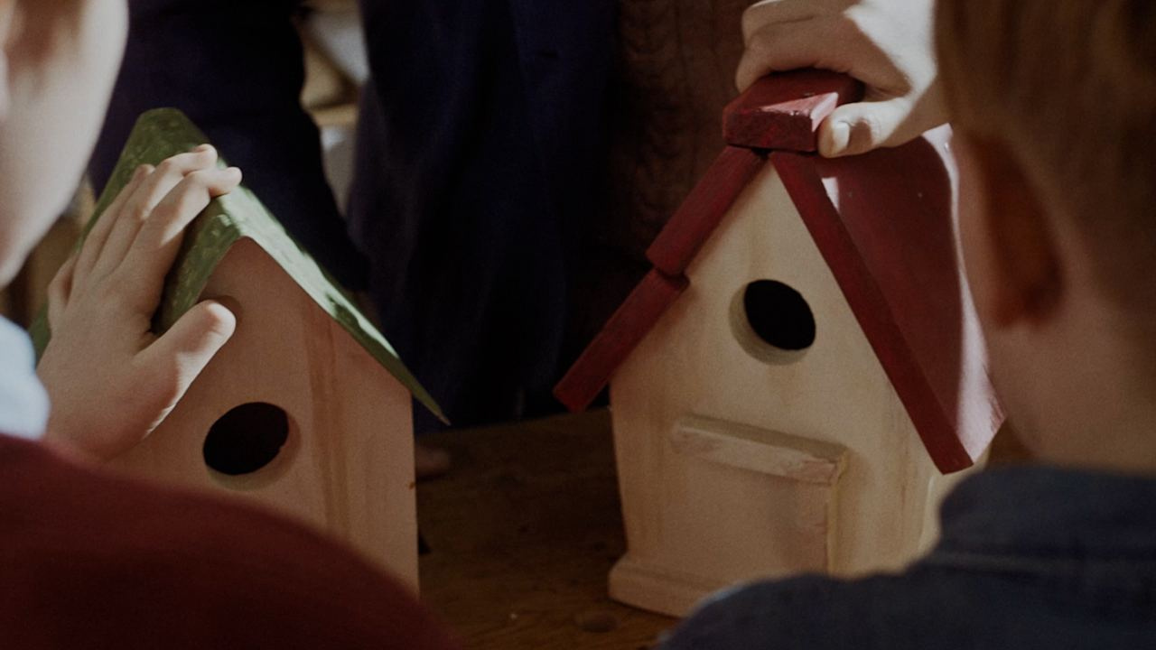 N1 — Birds — still 7, Alexander Ponomarev
