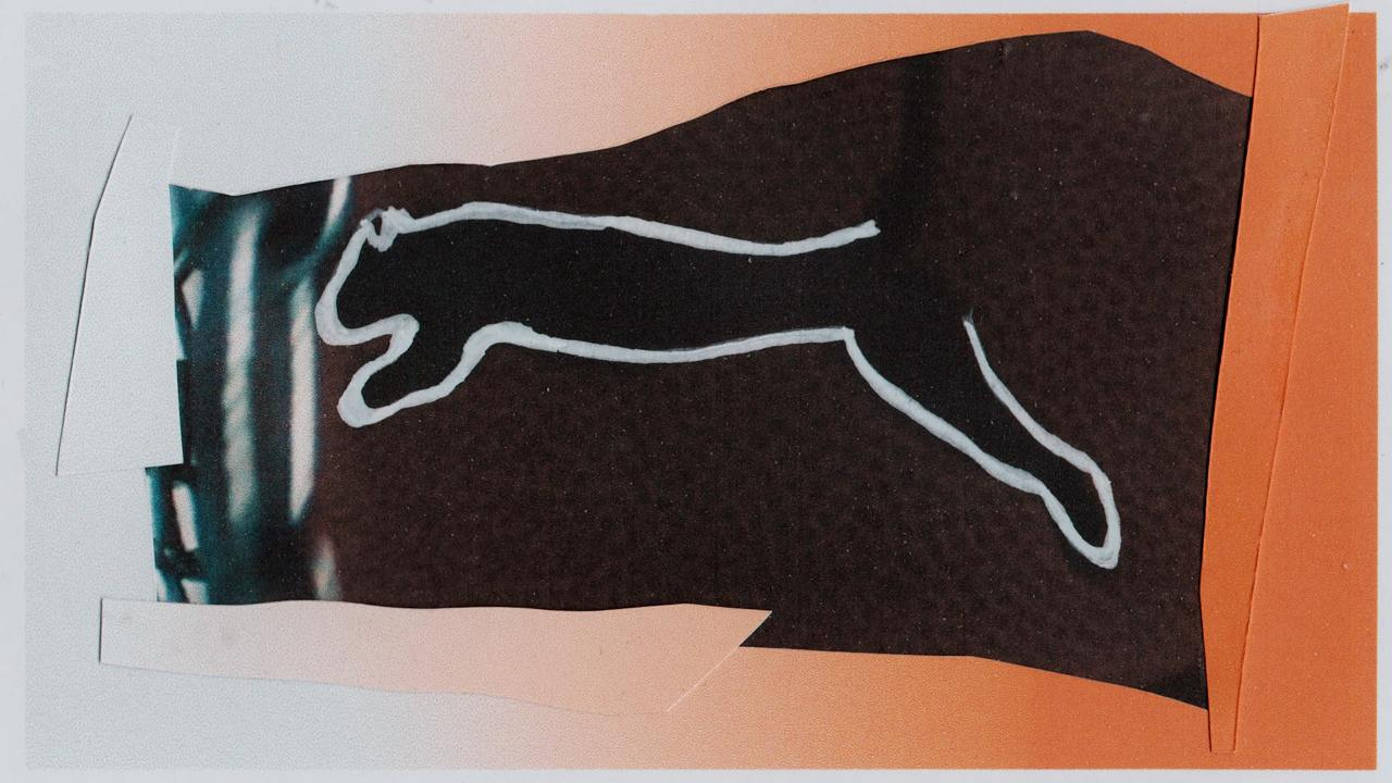 Puma — Oleg LSP — still 14, Alexander Ponomarev